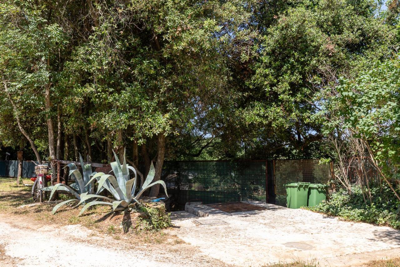 Holiday House Hana Rovinj Exterior photo