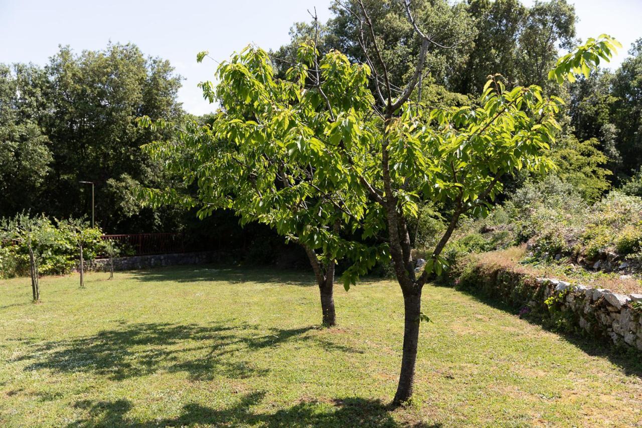 Holiday House Hana Rovinj Exterior photo