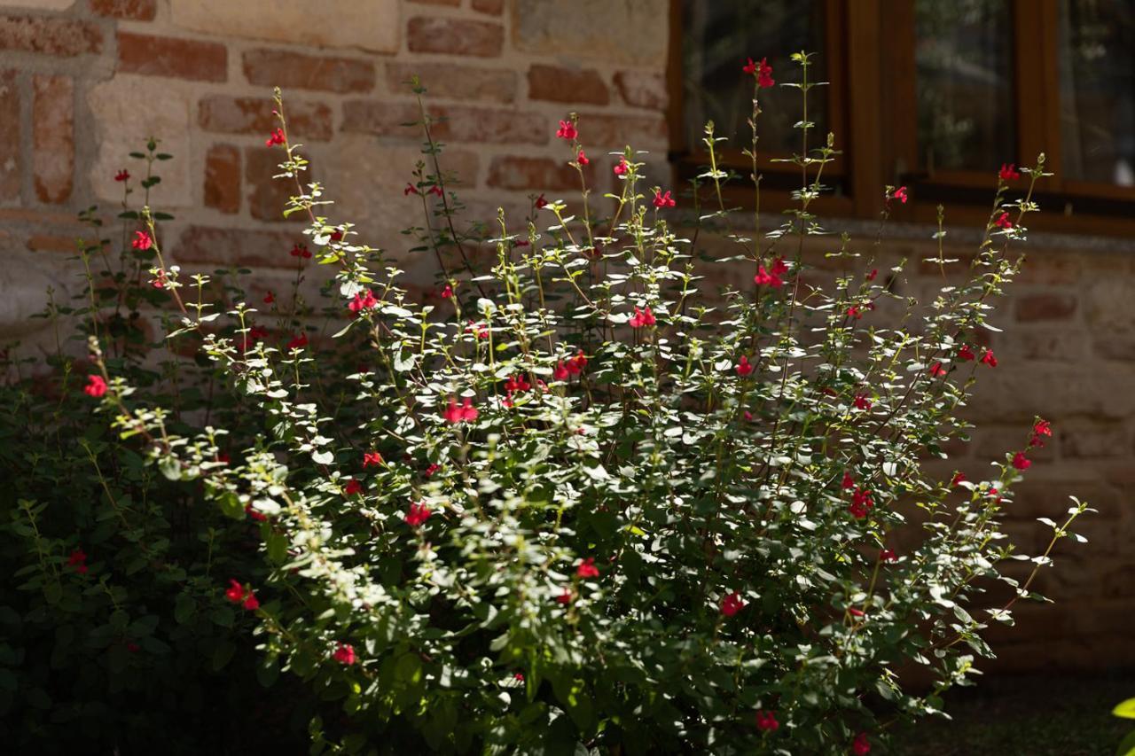 Holiday House Hana Rovinj Exterior photo