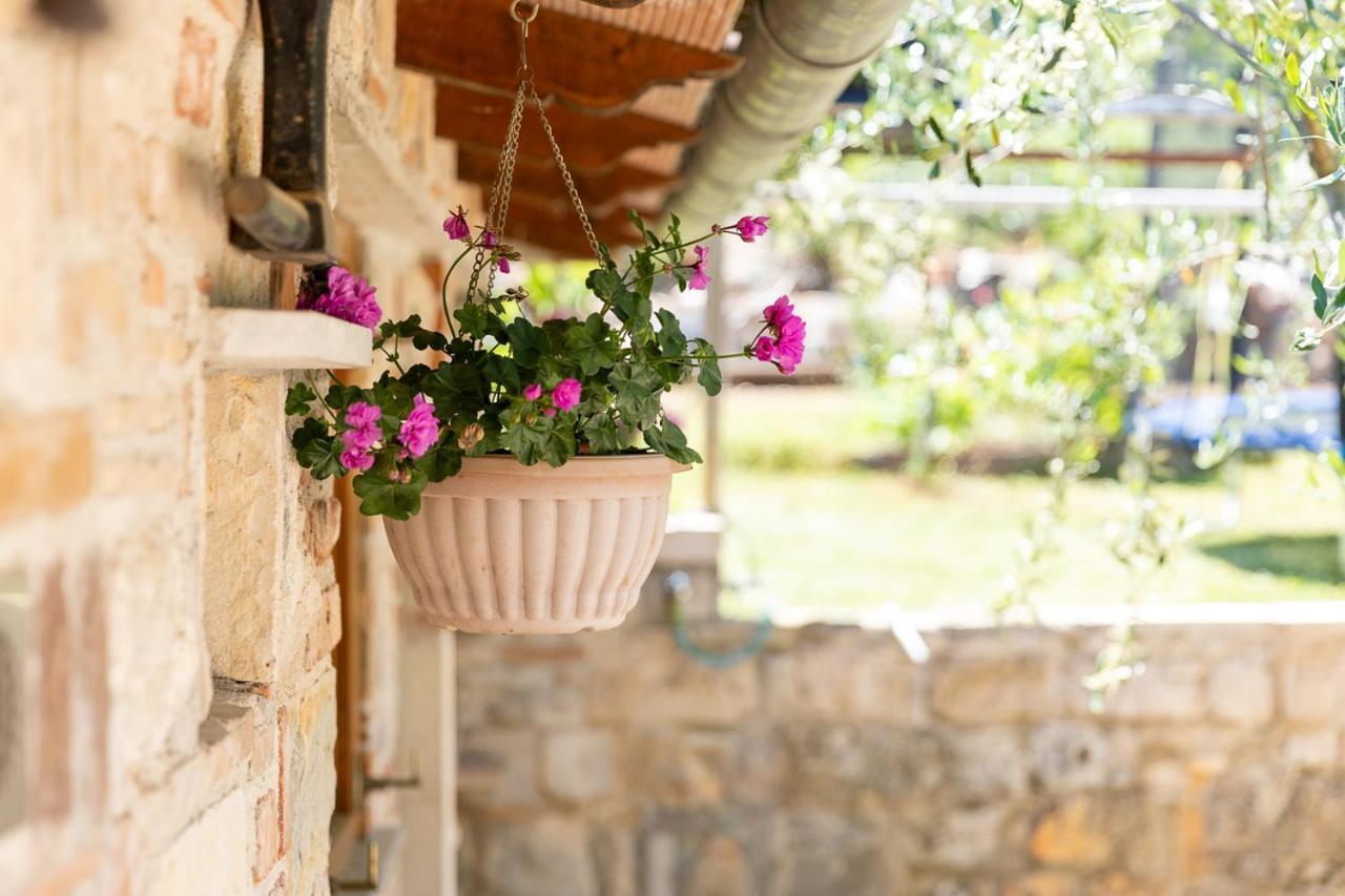 Holiday House Hana Rovinj Exterior photo